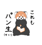 レッサーパンダとして 3（個別スタンプ：20）