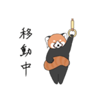 レッサーパンダとして 3（個別スタンプ：24）