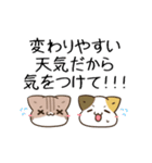 動く！毎日五月病なねこたち 残暑～秋（個別スタンプ：22）