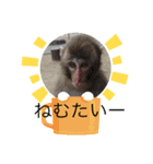erikaが作ったスタンプ（個別スタンプ：2）