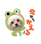 erikaが作ったスタンプ（個別スタンプ：5）