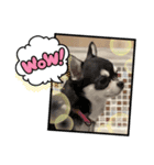 erikaが作ったスタンプ（個別スタンプ：6）