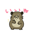 ぽっちゃりハイラックス（個別スタンプ：1）