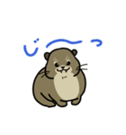 ぽっちゃりハイラックス（個別スタンプ：4）