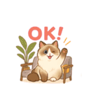 猫の種類いろいろ日常会話（個別スタンプ：11）