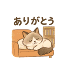 猫の種類いろいろ日常会話（個別スタンプ：13）