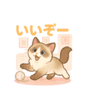 猫の種類いろいろ日常会話（個別スタンプ：15）