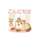 猫の種類いろいろ日常会話（個別スタンプ：17）