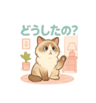 猫の種類いろいろ日常会話（個別スタンプ：18）