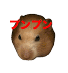 おこめちゃんスタンプ！（個別スタンプ：1）