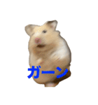 おこめちゃんスタンプ！（個別スタンプ：3）