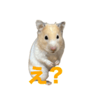 おこめちゃんスタンプ！（個別スタンプ：4）