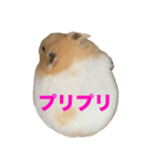 おこめちゃんスタンプ！（個別スタンプ：26）