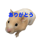 おこめちゃんスタンプ！（個別スタンプ：30）