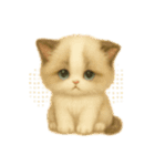Wordless Cats44（個別スタンプ：20）