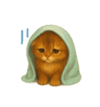 Wordless Cats44（個別スタンプ：24）