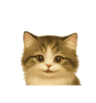 Wordless Cats44（個別スタンプ：31）