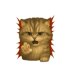 Wordless Cats44（個別スタンプ：36）