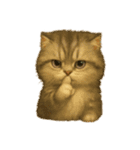 Wordless Cats44（個別スタンプ：39）