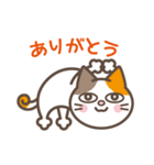 みけねこヨガ（個別スタンプ：1）