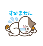 みけねこヨガ（個別スタンプ：17）