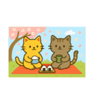 きらり＆トトの仲良しスタンプ（個別スタンプ：35）