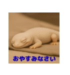 笑顔のかわいい白いレオパードゲッコウ（個別スタンプ：4）
