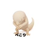 笑顔のかわいい白いレオパードゲッコウ（個別スタンプ：6）