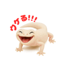 笑顔のかわいい白いレオパードゲッコウ（個別スタンプ：22）