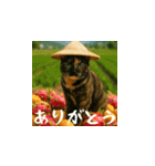 小花達の日常会話スタンプ2（日本語）（個別スタンプ：4）