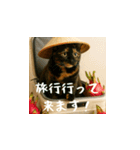 小花達の日常会話スタンプ2（日本語）（個別スタンプ：7）