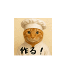 小花達の日常会話スタンプ2（日本語）（個別スタンプ：15）