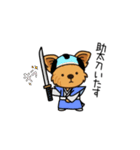 時代劇ごっこするわんこ達（個別スタンプ：5）