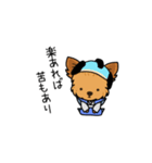 時代劇ごっこするわんこ達（個別スタンプ：16）