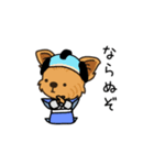 時代劇ごっこするわんこ達（個別スタンプ：24）
