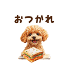 トーストに夢中なトイプードル（個別スタンプ：9）