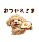 トーストに夢中なトイプードル（個別スタンプ：10）