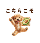 トーストに夢中なトイプードル（個別スタンプ：14）