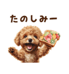 トーストに夢中なトイプードル（個別スタンプ：23）