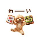 トーストに夢中なトイプードル（個別スタンプ：24）