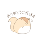 まるまるりすさん（個別スタンプ：2）