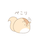 まるまるりすさん（個別スタンプ：3）