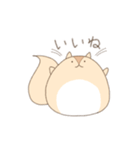 まるまるりすさん（個別スタンプ：5）