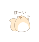 まるまるりすさん（個別スタンプ：10）