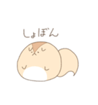 まるまるりすさん（個別スタンプ：18）