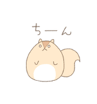 まるまるりすさん（個別スタンプ：19）