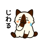 ばんがいアニマル｜ねこ_ギャル語編（個別スタンプ：4）