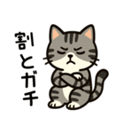 ばんがいアニマル｜ねこ_ギャル語編（個別スタンプ：6）