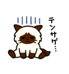 ばんがいアニマル｜ねこ_ギャル語編（個別スタンプ：10）