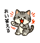 ばんがいアニマル｜ねこ_ギャル語編（個別スタンプ：13）